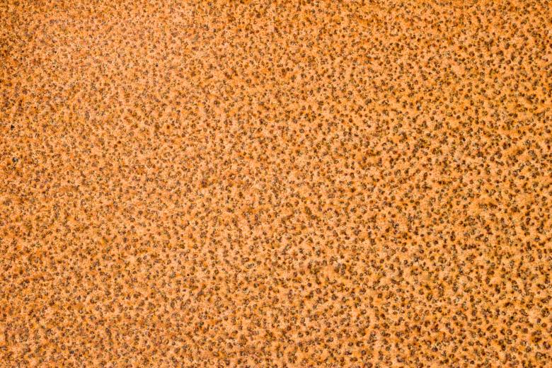 Free stock image of Rusted Iron Surface created by Bjorgvin