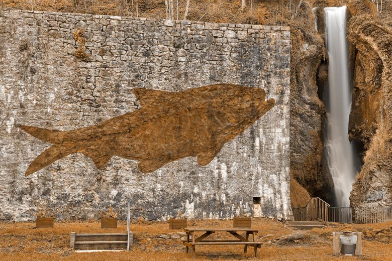 Free stock image of Fish Fossil Falls created by Nicolas Raymond