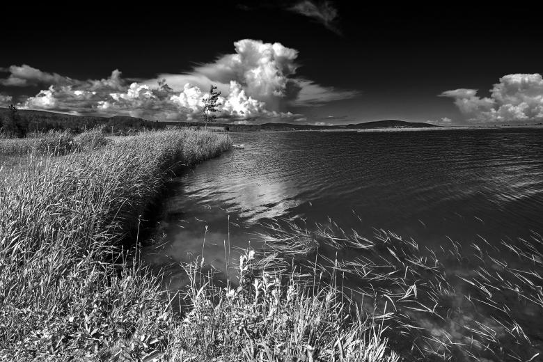 Free stock image of Beaver Brook - Black & White created by Nicolas Raymond