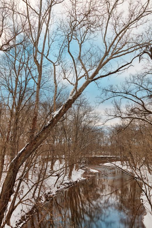 Free stock image of Little Monocacy Winter River created by Nicolas Raymond