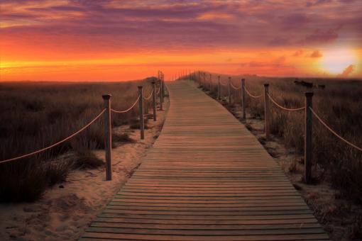 Sunset Landscape - Path to Sea - Free Stock Photo