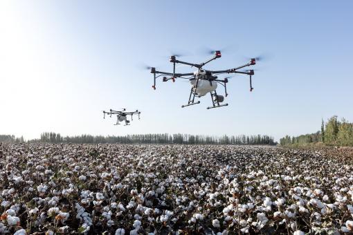 Free Stock Photo of Dji Agriculture