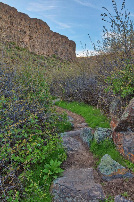 Free stock image of Box Canyon Spring Trail created by Nicolas Raymond