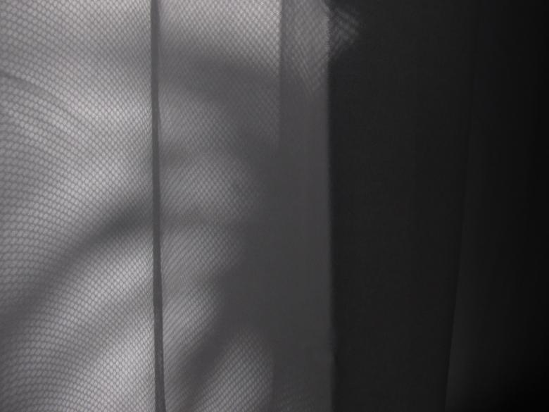 Free stock image of Shadow of a Plant on Wall created by Michiru Maeda