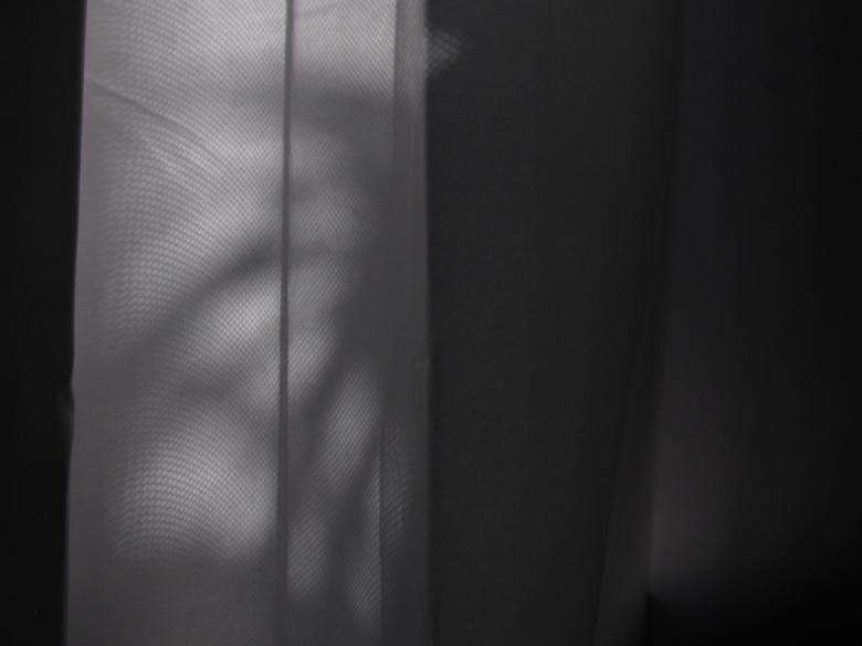 Free stock image of Abstract Shadow of a Plant created by Michiru Maeda