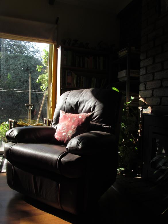 Free stock image of Leather Couch in Reading Room created by Michiru Maeda