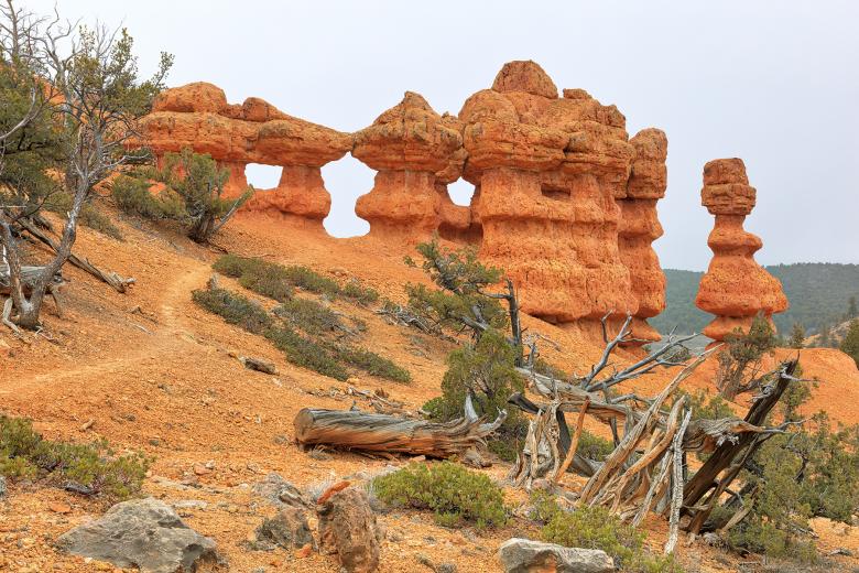 Free stock image of Red Canyon Hoodoo Hike created by Nicolas Raymond