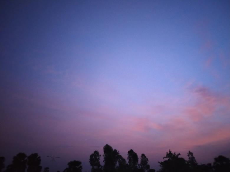 Free stock image of Evening Sky created by k sangeeta