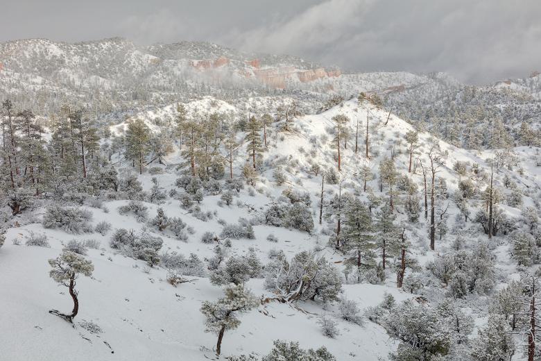 Free stock image of Bryce Canyon Winter Wonderland created by Nicolas Raymond