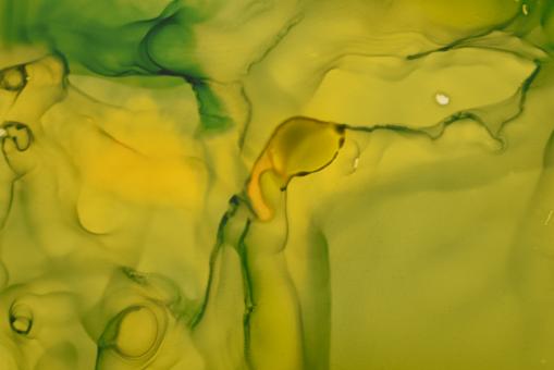 Free Stock Photo of Green Abstract Background Wallpaper