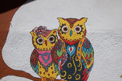 Free Stock Photo of Owl Wall Painting