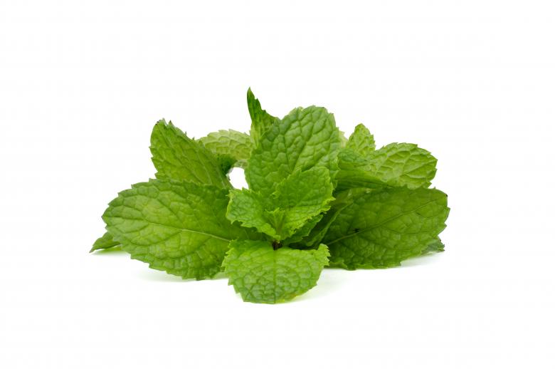 Free stock image of Fresh Green Mint Leaves created by Prasert Taosiri