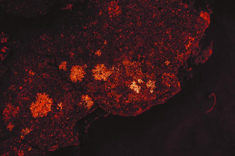 Free stock image of Burning Lava Stone Background created by Free Texture Friday