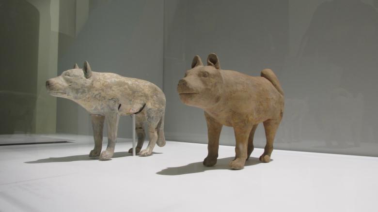 Free stock image of Earthenware Dog Figures created by Michiru Maeda