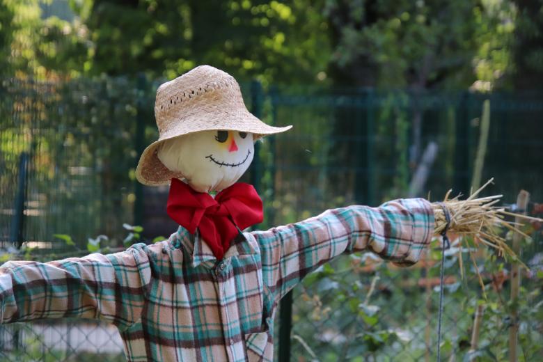 Free stock image of Funny and gentle scarecrow in a garden created by GAIMARD Jacques