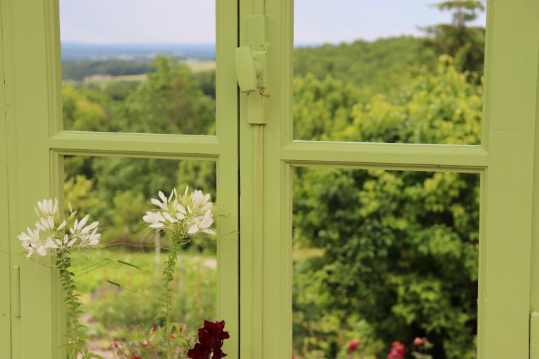 Free stock image of Green Window in Summer created by GAIMARD Jacques