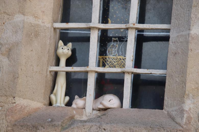 Free stock image of Cats behind bars created by GAIMARD Jacques
