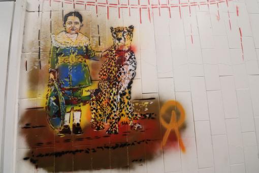 Free Stock Photo of Graffiti of woman with a tiger