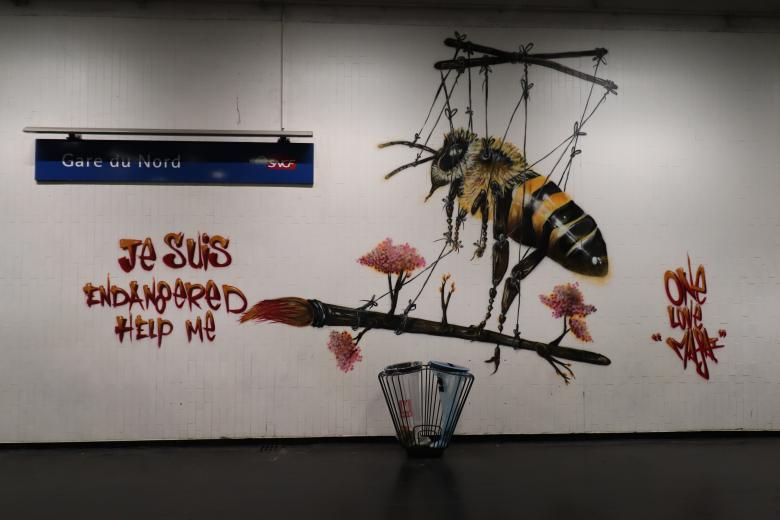 Free stock image of Graffiti of a bee created by GAIMARD Jacques