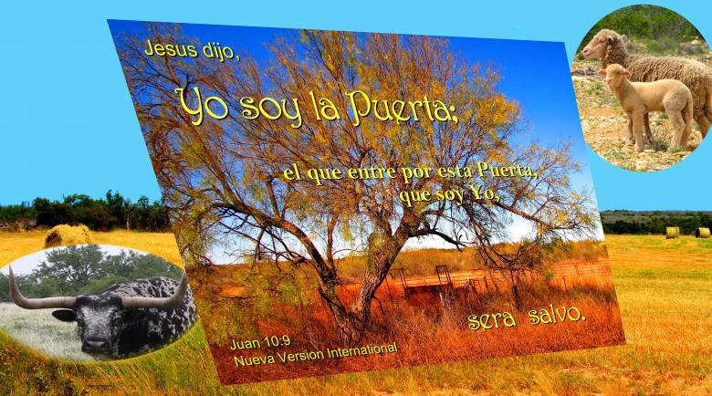 Free stock image of Jesus es la Puerta created by DFNatureAwed