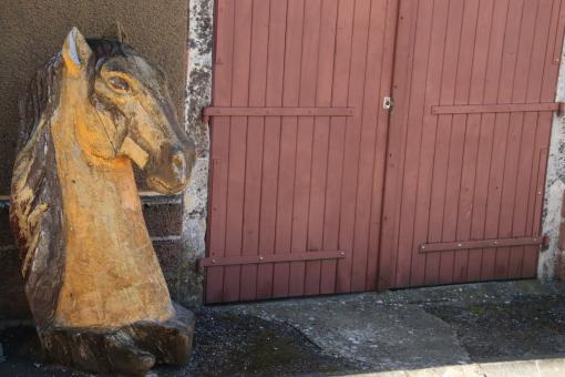 Horses welcome here!! - Free Stock Photo