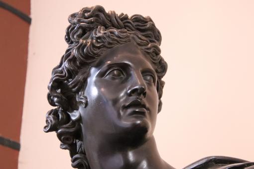 Shining bronze head - Free Stock Photo