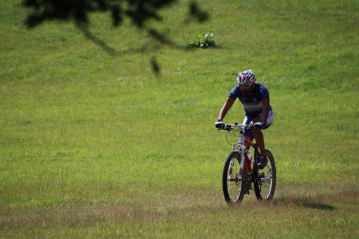 Free Stock Photo of Mountain bike in... a meadow!