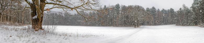 Free stock image of Winter Panorama created by Guy Banville