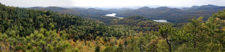 Free stock image of Woodlands Panorama created by Guy Banville