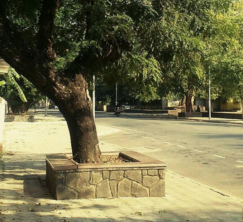 Free stock image of Noon created by RAVI RANJAN GOSWAMI