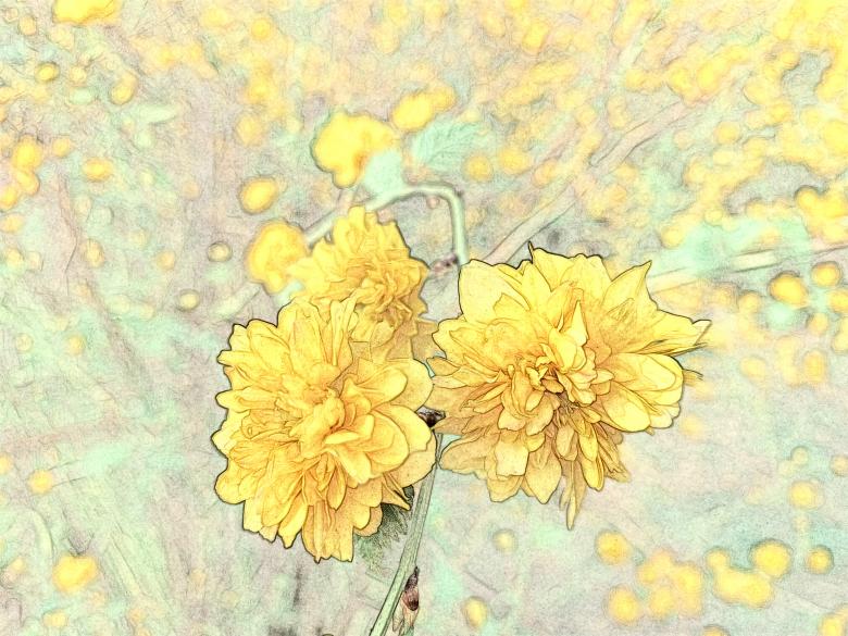 Free stock image of Yellow wildflowers in the field created by HongFei Li