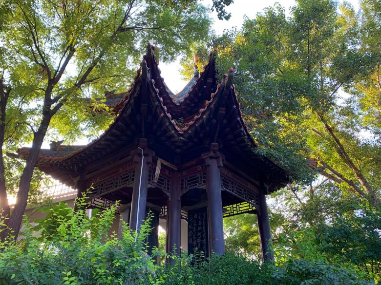 Free stock image of The bower in the park created by HongFei Li