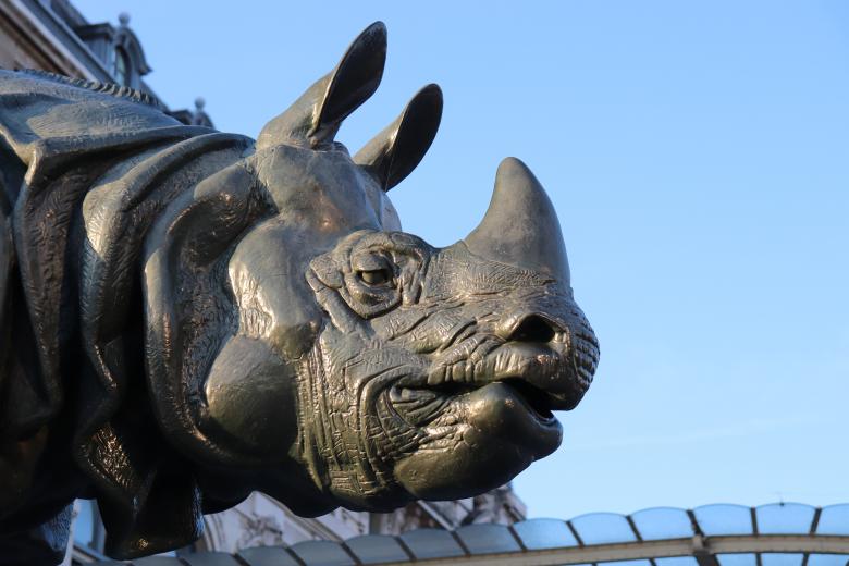 Free stock image of Black bronze rhino close-up created by GAIMARD Jacques