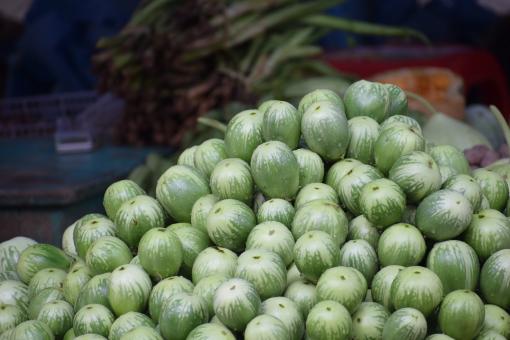 Green eggplants - Free Stock Photo