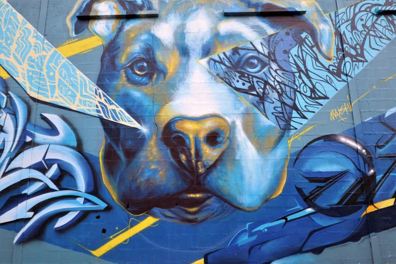 Free stock image of French dog graffiti created by GAIMARD Jacques