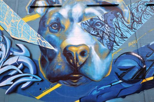 French dog graffiti