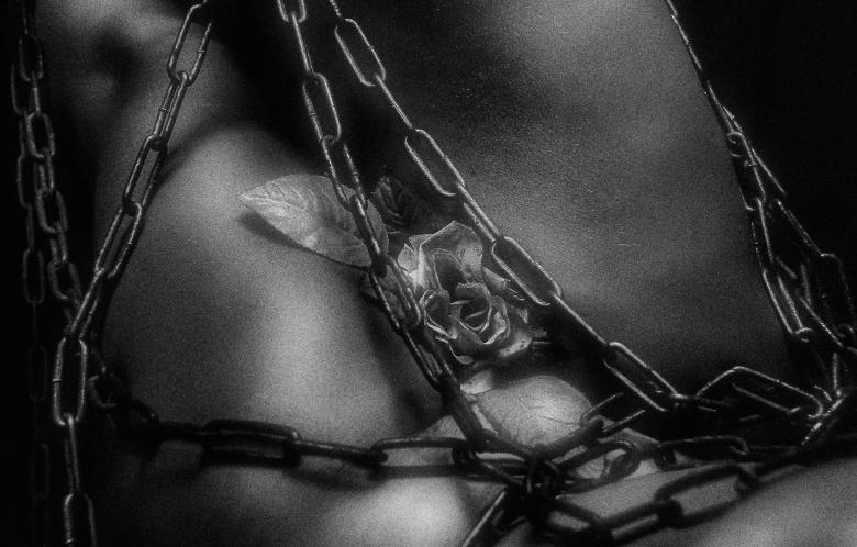 Free stock image of Rose and Chains - Black and White Art created by Alexander Krivitskiy