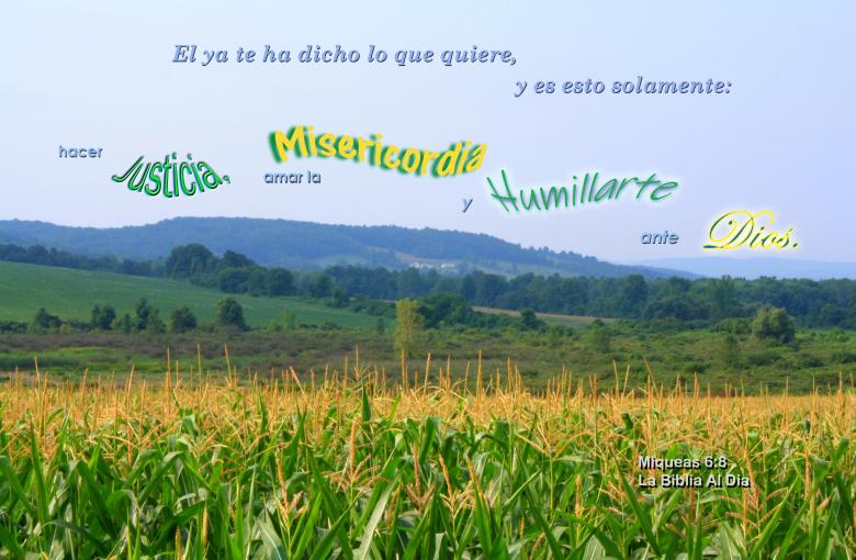 Free stock image of Humillarte Ante Dios created by DFNatureAwed