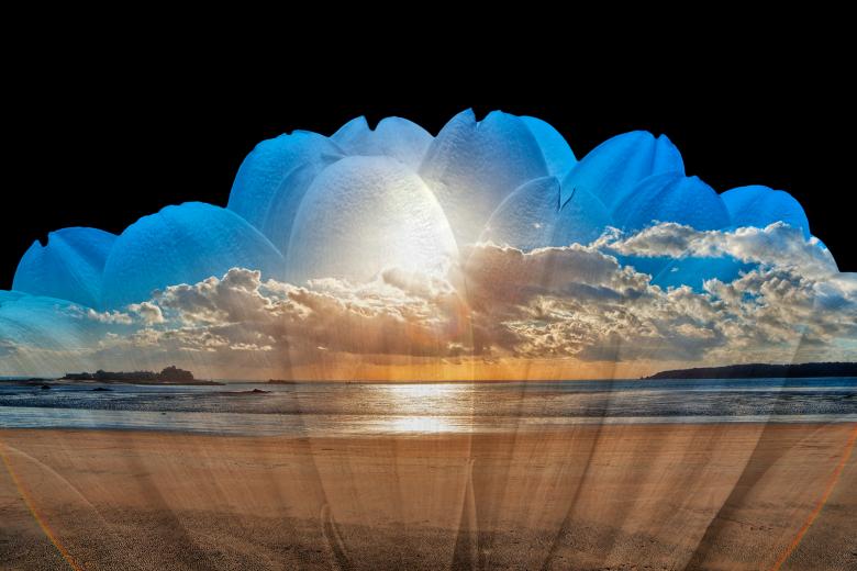 Free stock image of Jersey Sunset Daisy created by Nicolas Raymond