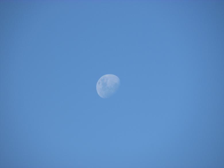 Free stock image of Half-moon on the blue sky created by Michiru Maeda