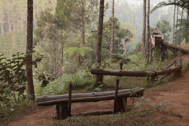 Free stock image of Forest in Curug Layung Indonesia created by Yosafat