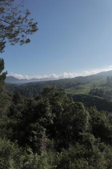 Morning in Lembang, Indonesia