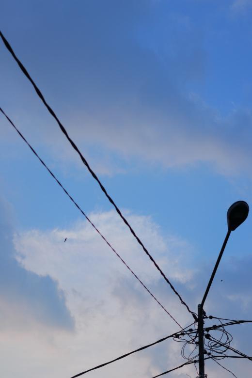 Free stock image of Sunset and Electric Wires created by Yosafat