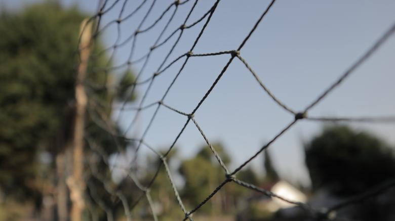 Free stock image of Nettings created by Yosafat
