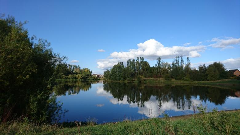 Free stock image of Lakeside created by Eric Lund