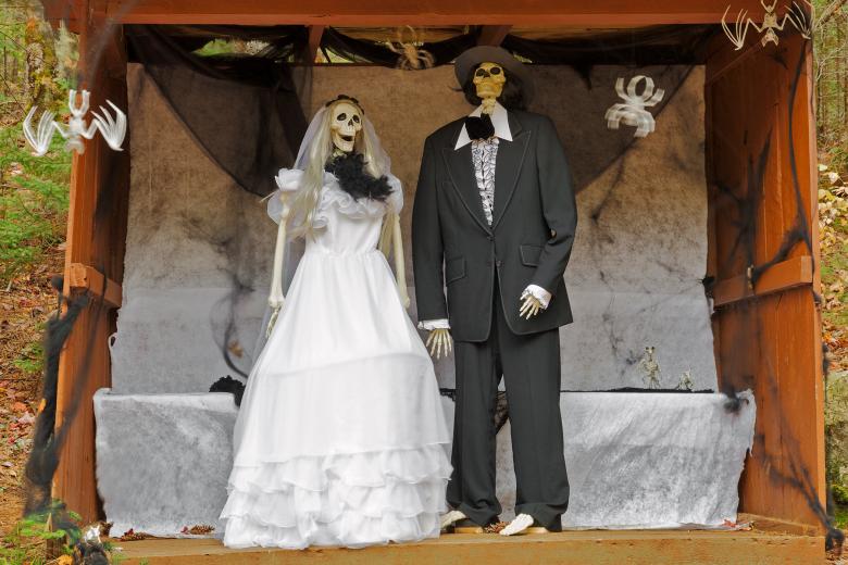 Free stock image of Happy Halloween Forest Wedding created by Nicolas Raymond