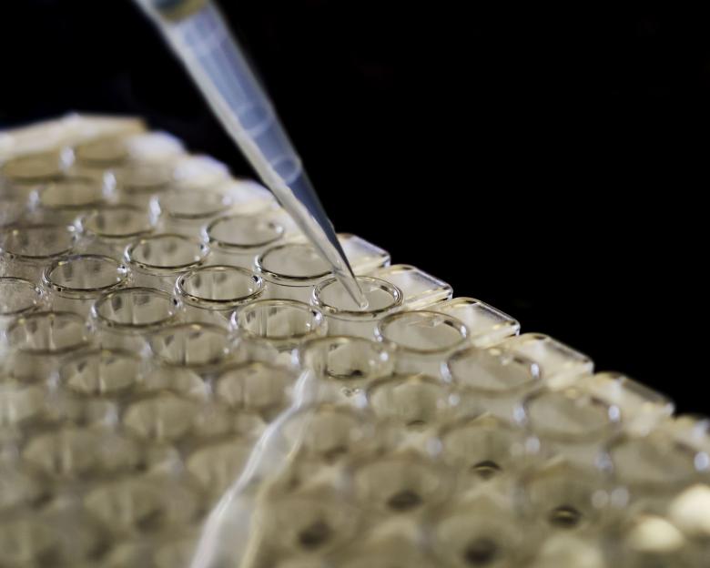 Free stock image of Micro-Pipette created by Geoffrey Whiteway