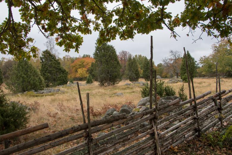 Free stock image of Old school fence created by Janis Urtans