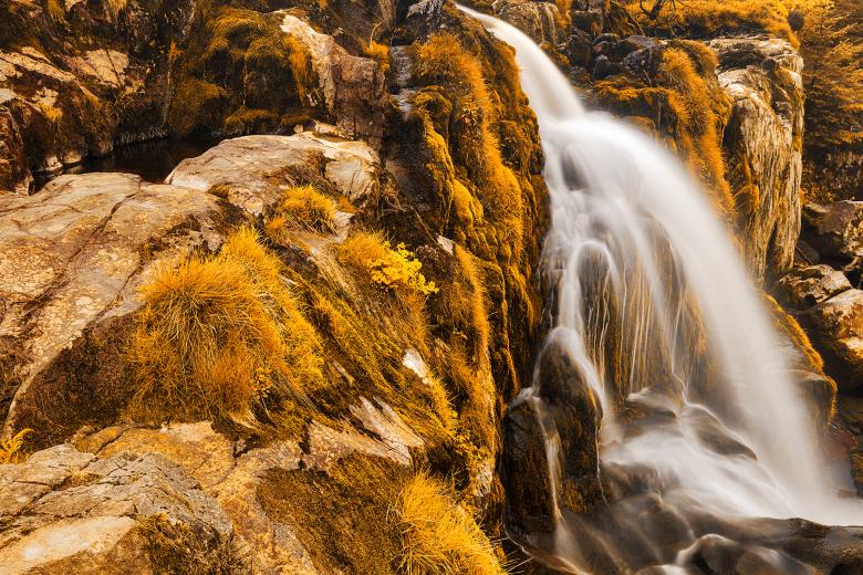 Free stock image of Gold Loup of Fintry created by Nicolas Raymond