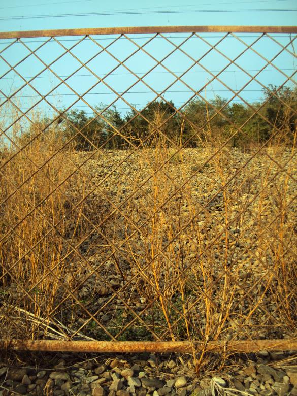 Free stock image of Rusty lattice created by NomeVizualizzato